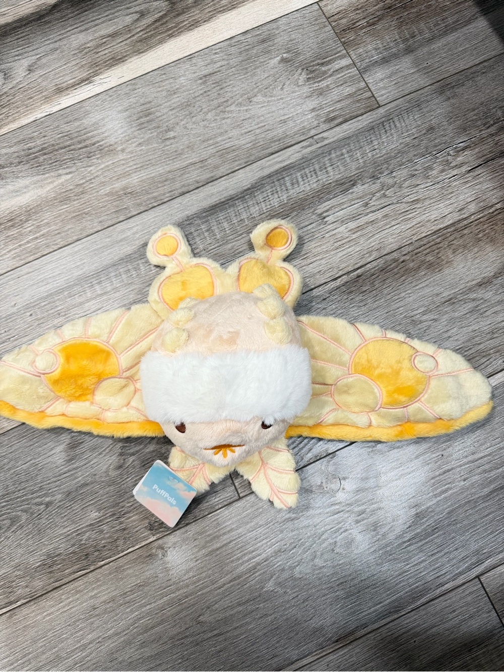 Fluffnest Puffpals Solace the Sun Moth